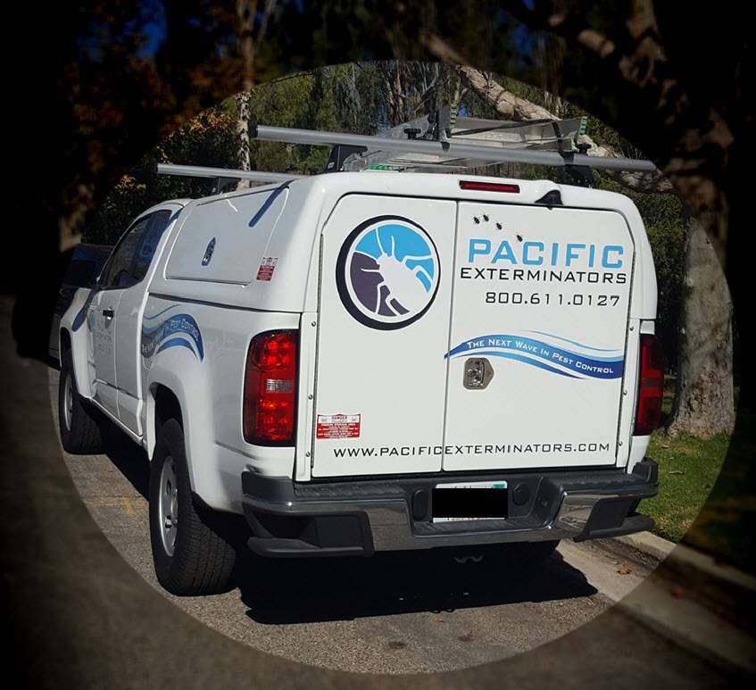 Pacific Exterminator | 1000 Business Center Cir Ste, Newbury Park, CA 91320 | Phone: (800) 611-0127