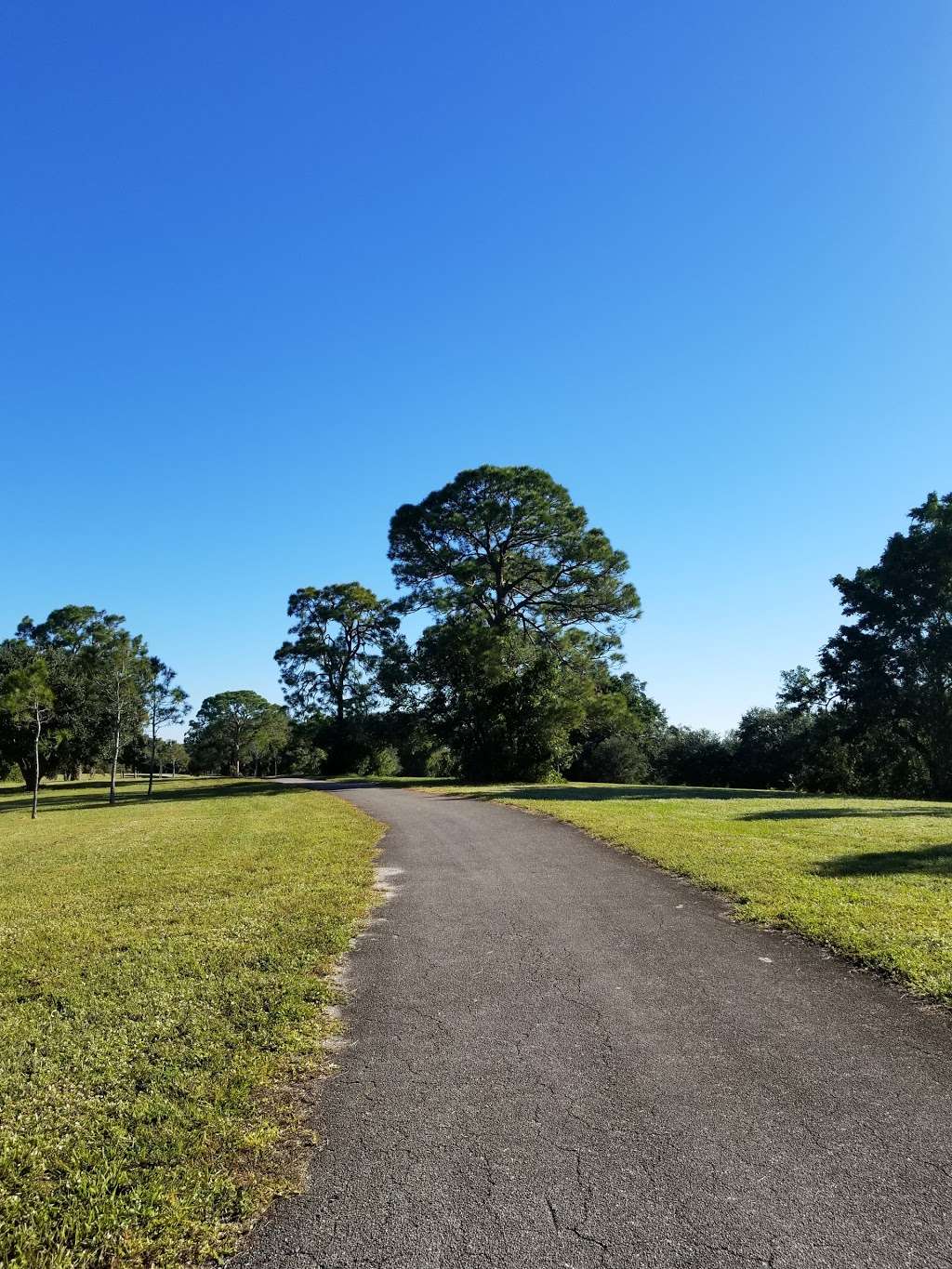 Pine Island Ridge Natural Area | 3900 SW 100th Ave, Davie, FL 33328, USA | Phone: (954) 357-5130