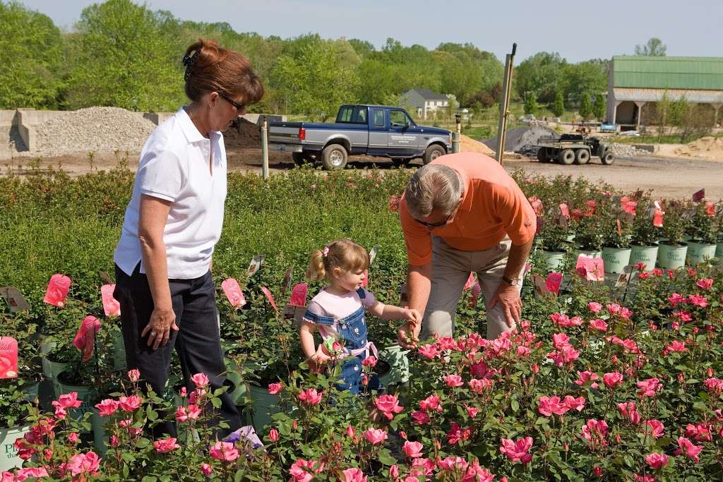 Trent Hill Farm & Nursery | 24 Nutwell Rd, Lothian, MD 20711 | Phone: (410) 867-9415