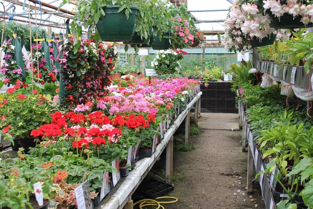 Top Pots | The Nursery, Westmill Farm, Ware SG12 0ES, UK | Phone: 01920 465026