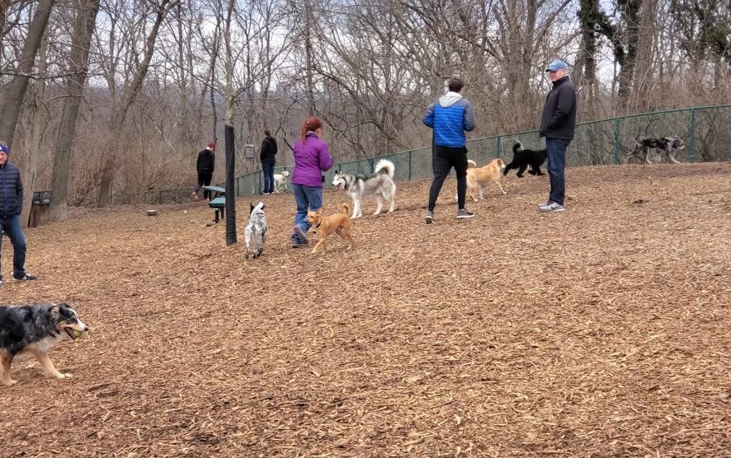 Fort Thomas Dog Park | 199 Mayfield Ave, Fort Thomas, KY 41075 | Phone: (859) 781-1700