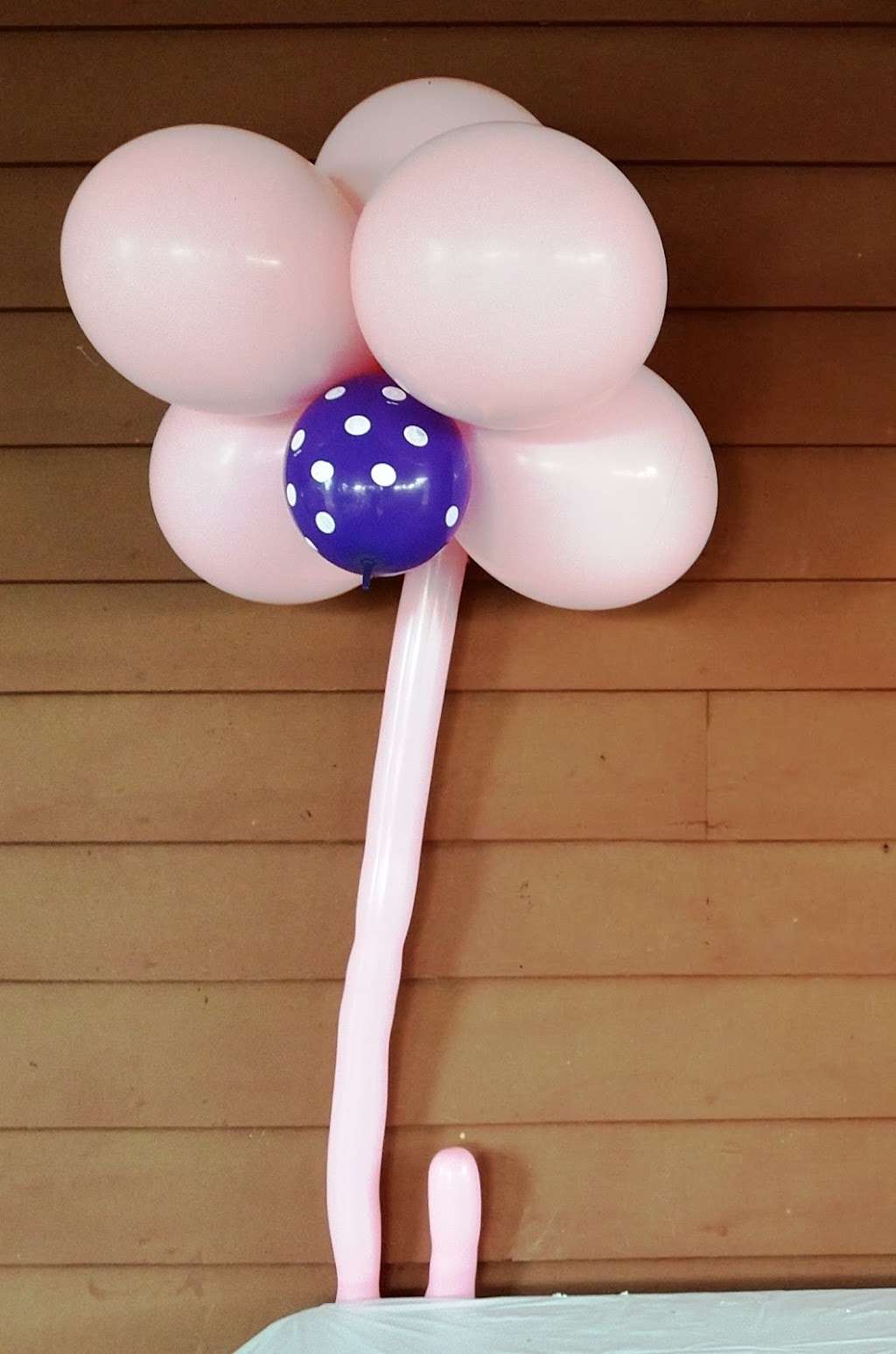 American Balloon Factory | 6379 W 110th St, Overland Park, KS 66211, USA | Phone: (800) 210-7328