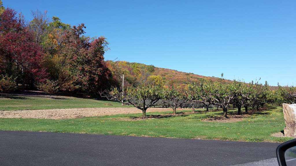 Pryors orchards | 13833 Pryor Rd, Thurmont, MD 21788, USA