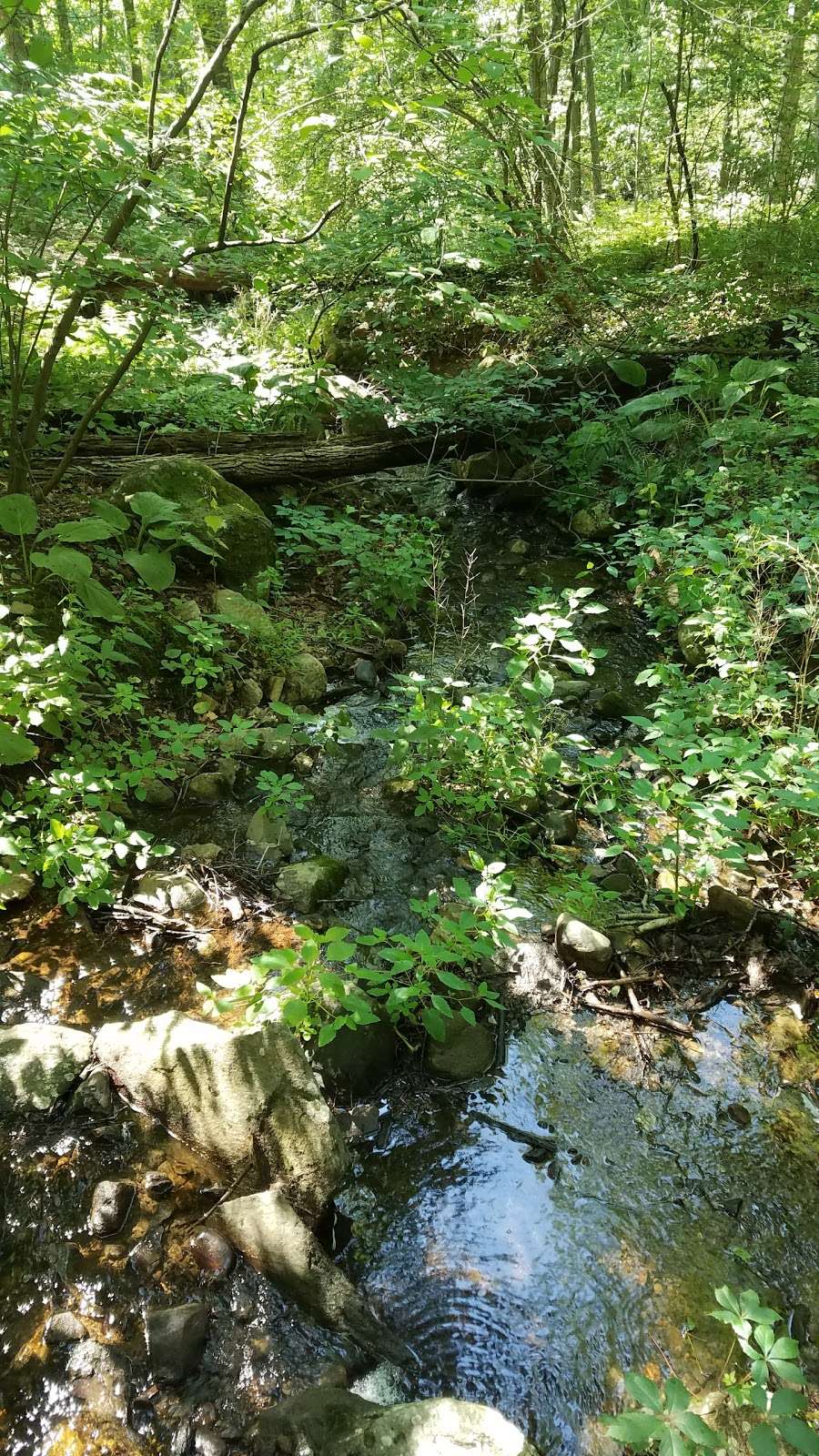 Brinton Brook Sanctuary | 1339 albany post rd, Croton-On-Hudson, NY 10520, USA | Phone: (914) 666-6503