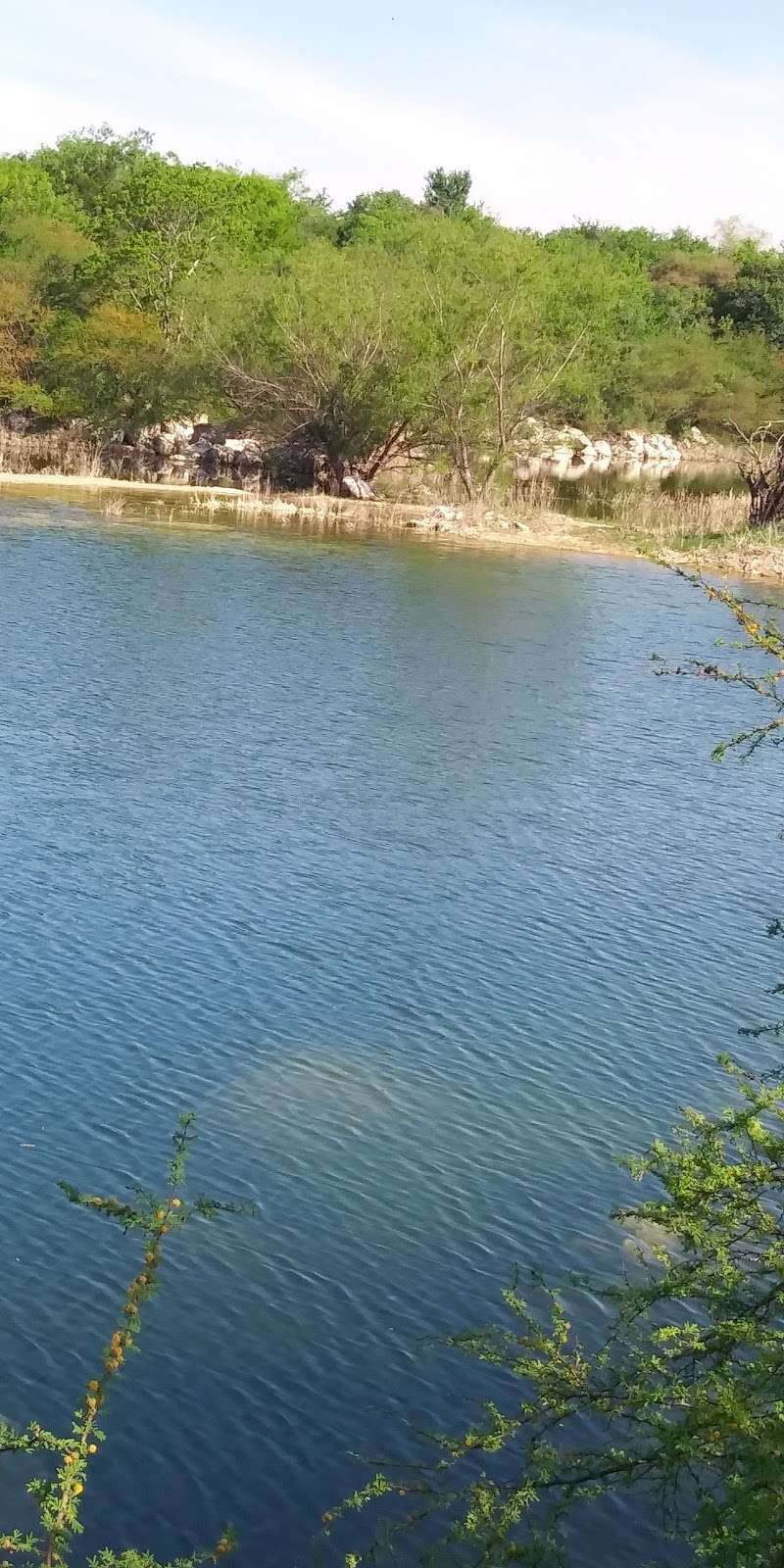 Nessie in the Quarry Pond at Tom Slick Park | 7620 NW Loop 410, San Antonio, TX 78245, USA