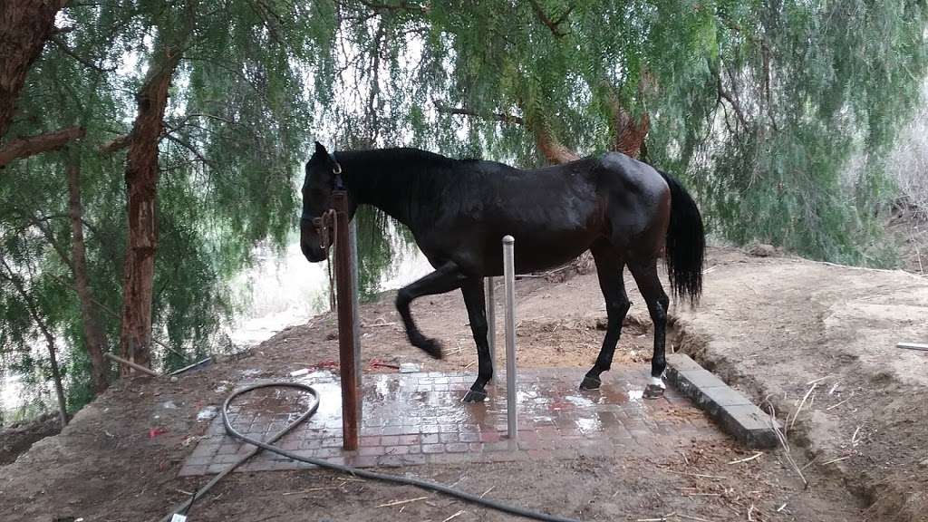 Natural Horse Training | 8500 Waters Rd, Moorpark, CA 93021 | Phone: (805) 341-4428