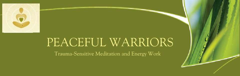 Peaceful Warriors | 1044 Lacey Rd, Forked River, NJ 08731 | Phone: (609) 713-5435