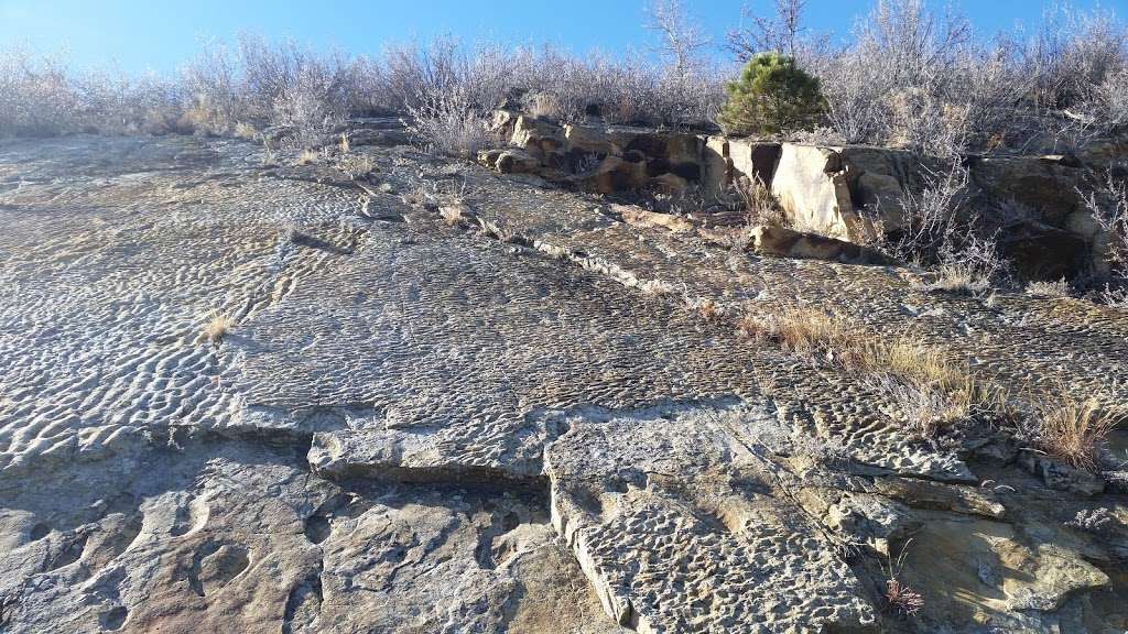 Dinosaur Tracksite | Morrison, CO 80465