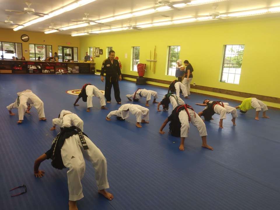 Kick Tiger Taekwondo | 2121 Sandy Lake Rd, Carrollton, TX 75006, USA | Phone: (817) 744-0140