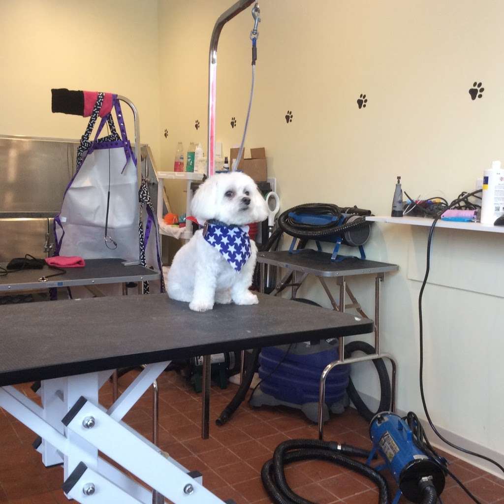 Dukes k9 spa | 1 Ivy Rd, Kings Park, NY 11754, USA | Phone: (631) 656-0588