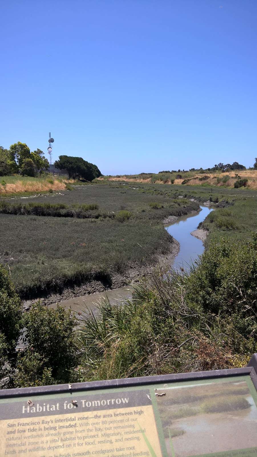 Oyster Bay Regional Shoreline Park | San Leandro, CA 94577, USA