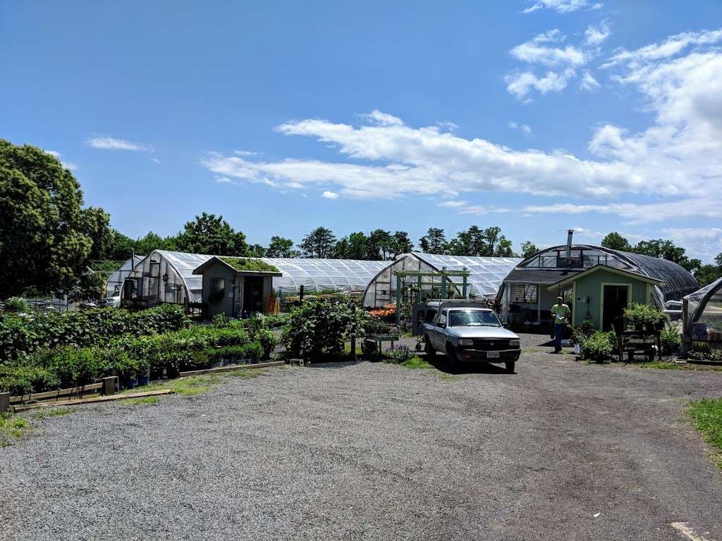 Windmill Heights Garden Center | 1901 Broad St, Culpeper, VA 22701, USA | Phone: (540) 825-2059