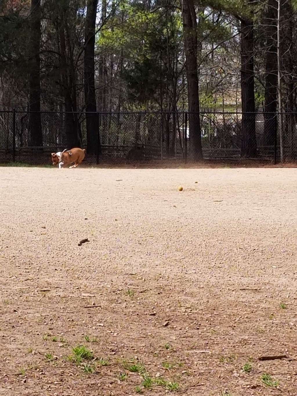 K9 Park At Ramsey Creek | Nantz Rd, Cornelius, NC 28031, USA | Phone: (980) 314-1001