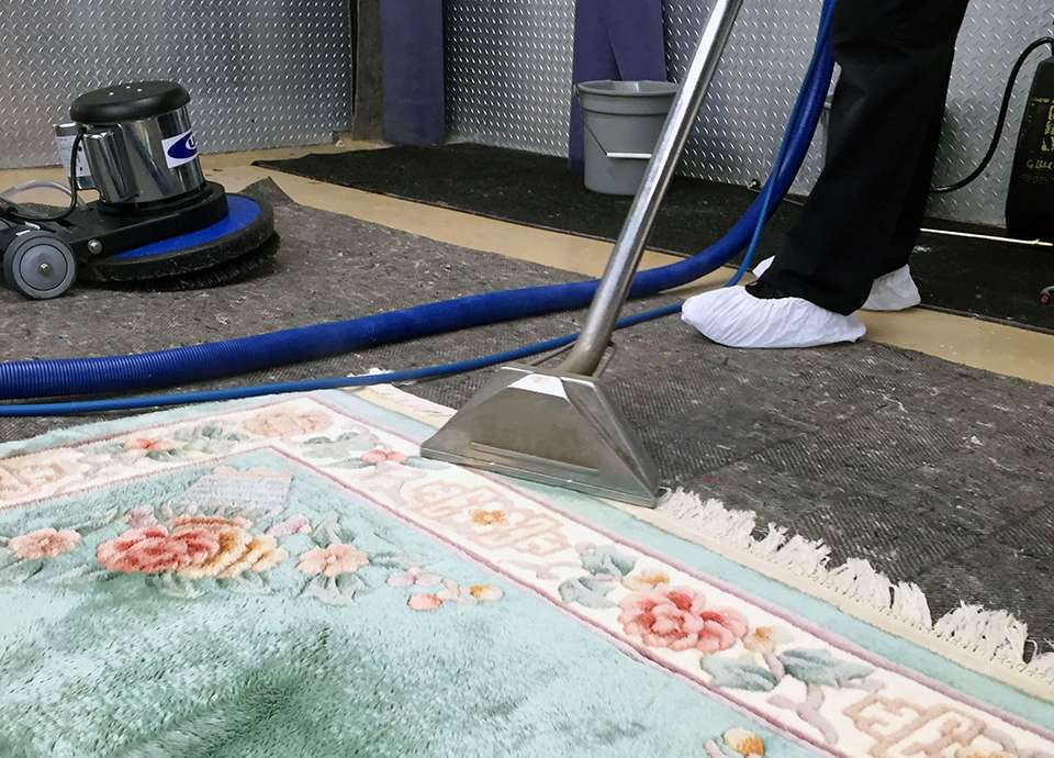 Alex carpet care | 11430 E20, Bissonnet St, Houston, TX 77099 | Phone: (832) 966-0869