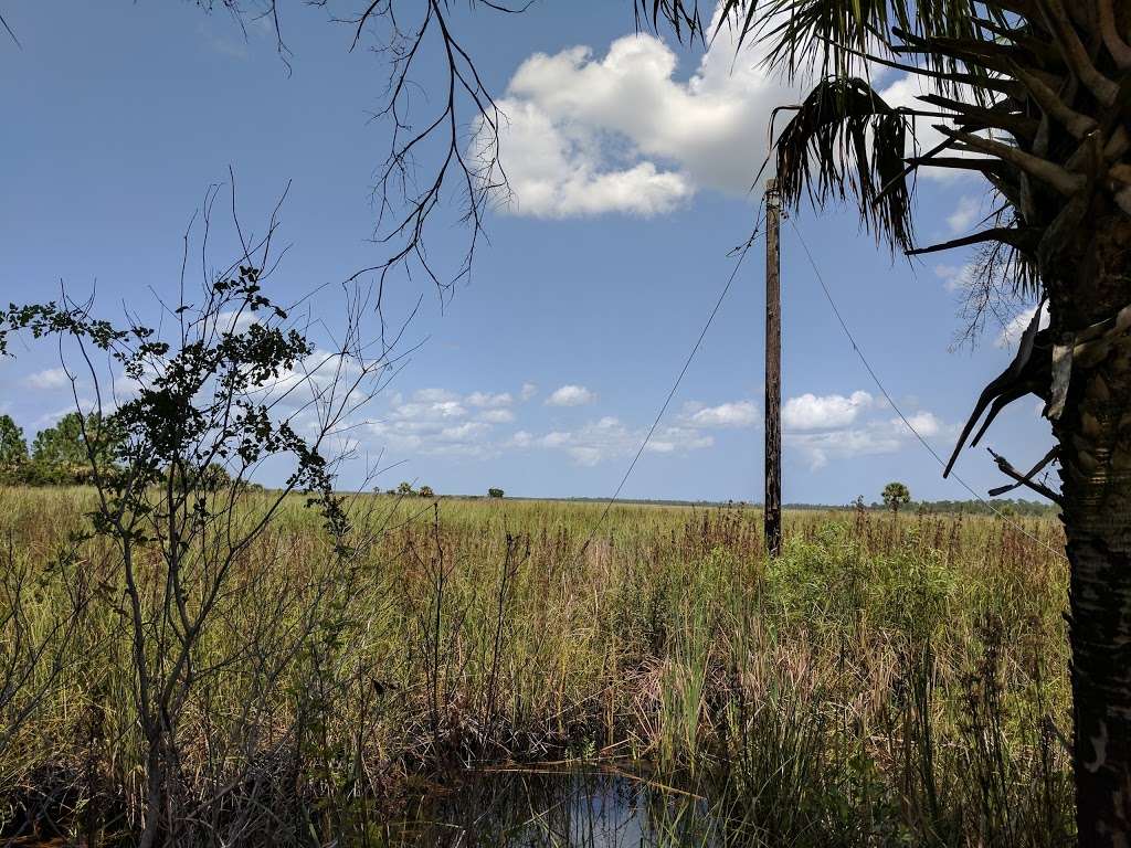 Buck Lake Conservation Area | 4077 Cinnamon Teal Dr, Mims, FL 32754, USA | Phone: (386) 329-4404