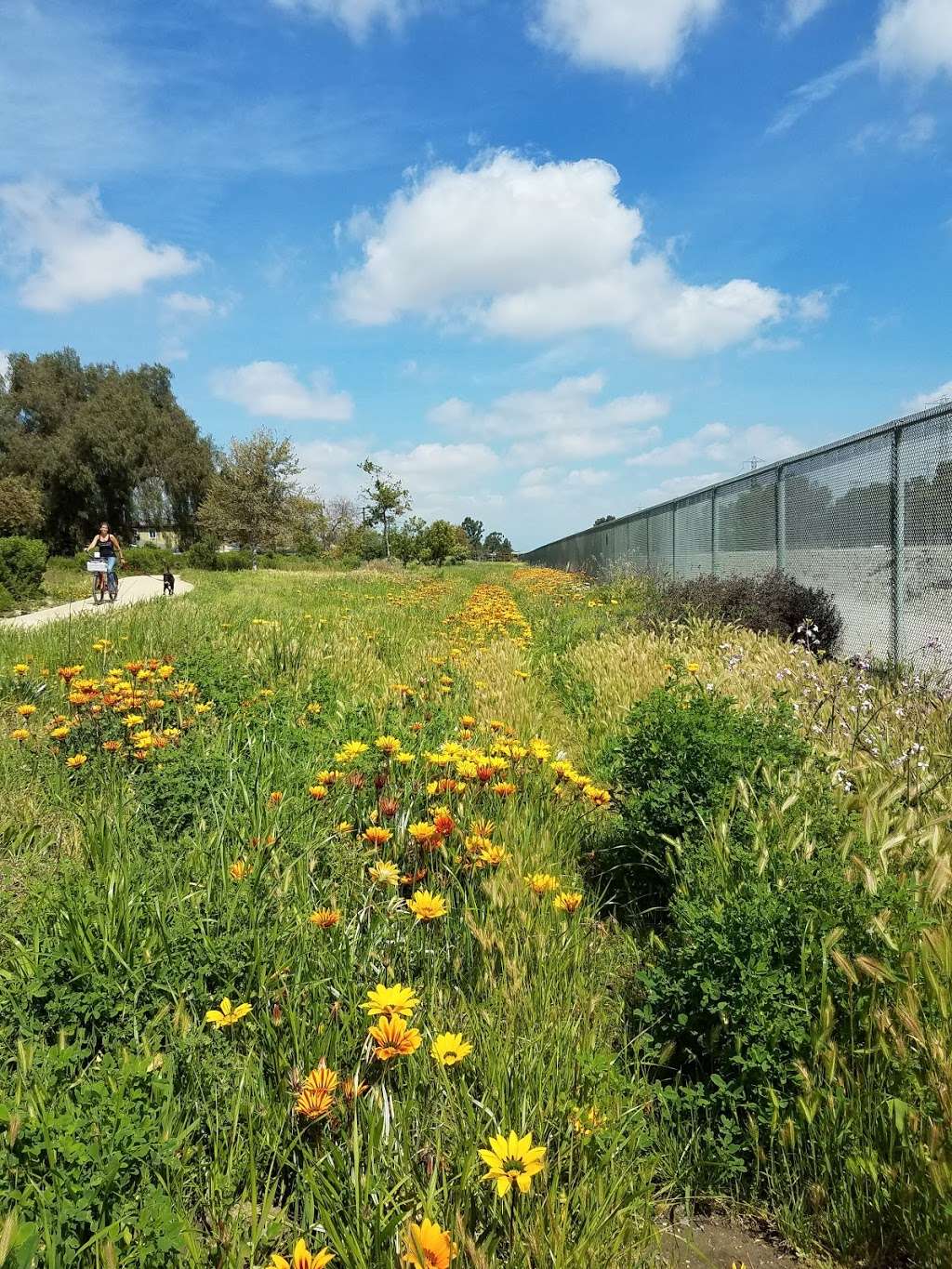 West San Gabriel River Parkway Nature Trail @ Candlewood St | 5298 Knoxville Ave, Lakewood, CA 90713, USA