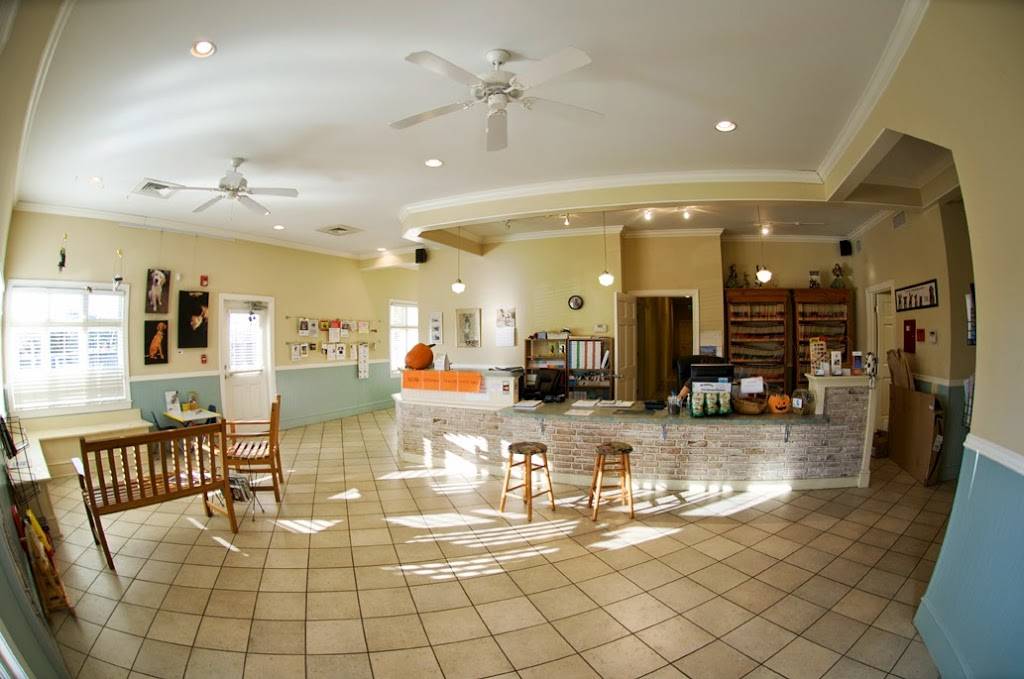 Treehouse Animal Clinic | 2000 Moores Mill Rd NW, Atlanta, GA 30318, USA | Phone: (404) 355-7387