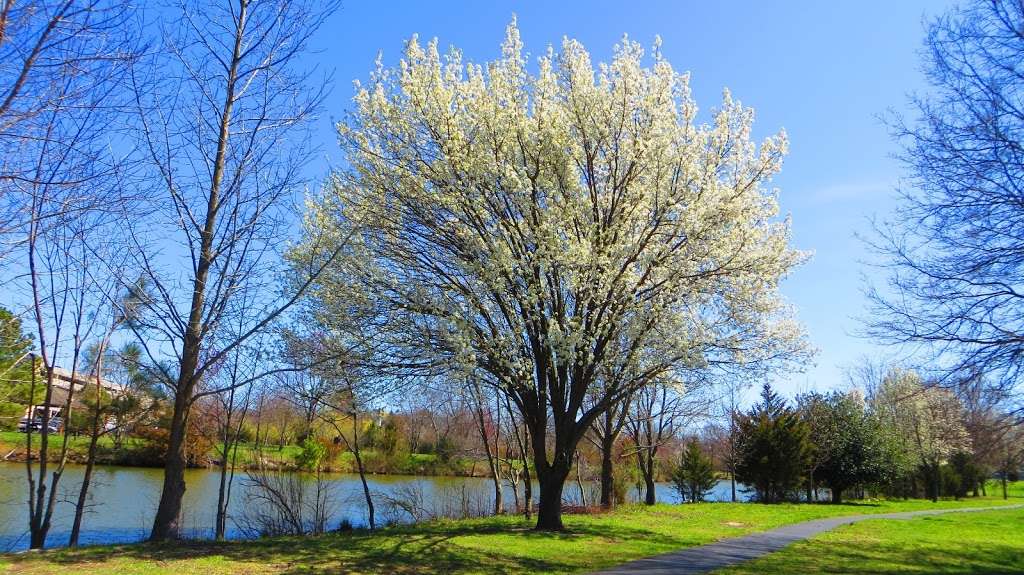 George H.P.Smith Park | Lewes, DE 19958, USA