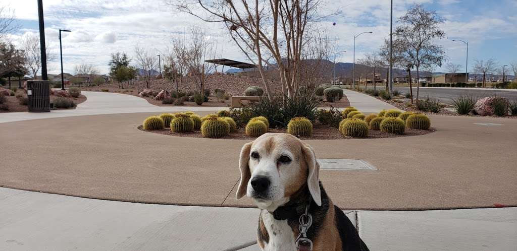 Central Park Public Pickleball Courts | Central Park, E Sunset Rd, Henderson, NV 89015, USA