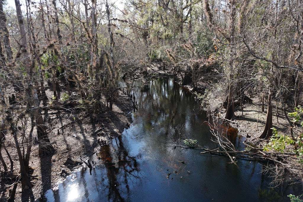 Green Swamp Wilderness Preserve | 28057 State Route 471, Webster, FL 33597, USA | Phone: (352) 796-7211