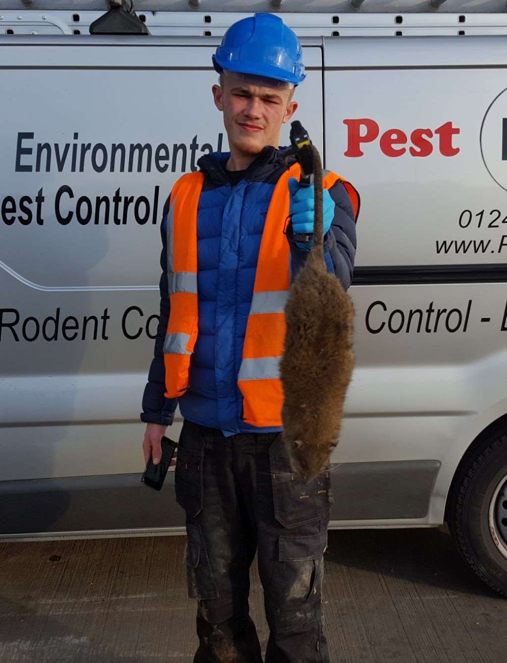 Pest ID Limited | 36a Corringham Rd, Stanford-le-Hope SS17 0AH, UK | Phone: 01375 720490