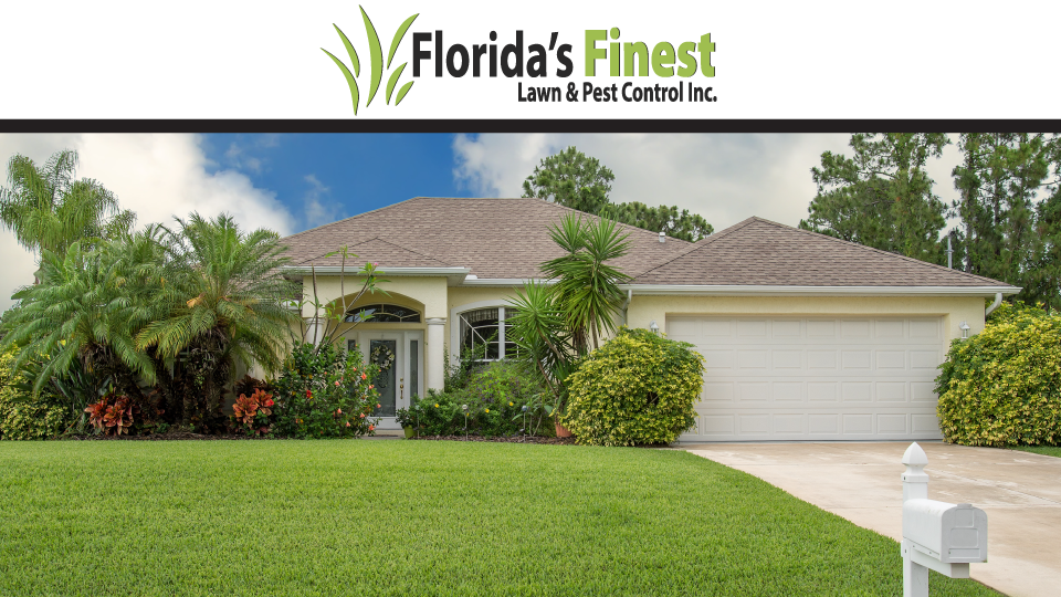 Floridas Finest Lawn & Pest Control Inc. | 322 Maguire Rd, Ocoee, FL 34761, USA | Phone: (407) 512-0725