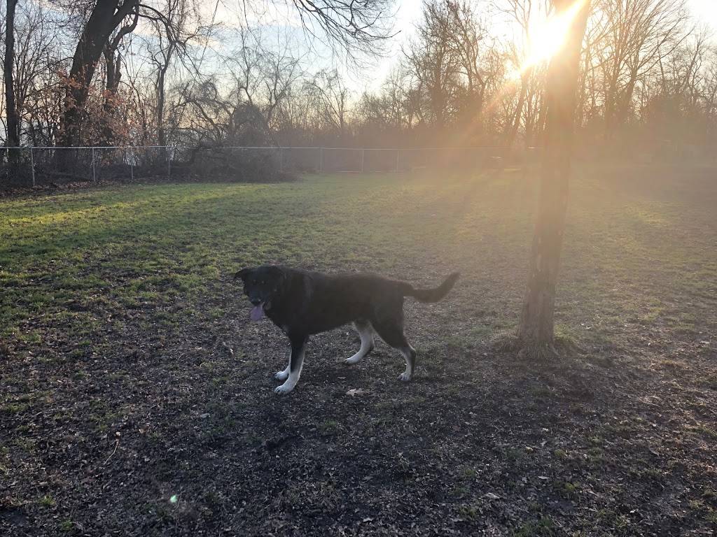 Frick Park Off-Leash Exercise Area | Pittsburgh, PA 15217 | Phone: (412) 255-2539