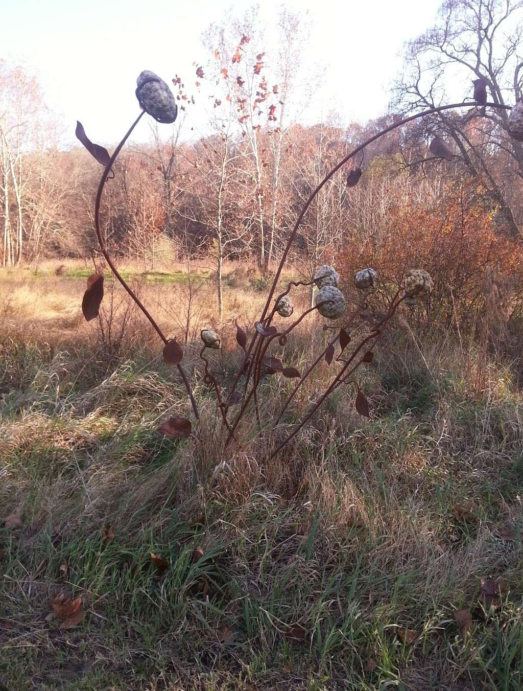 Zimmerman Wetland Bird Habitat | 4650 Bellsville Pike, Nashville, IN 47448, USA | Phone: (317) 409-2029