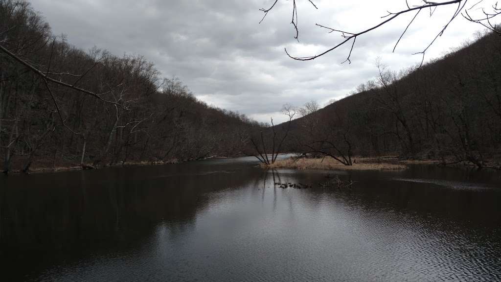 Musconetcong Gorge Nature Preserve | 182 Dennis Rd, Bloomsbury, NJ 08804