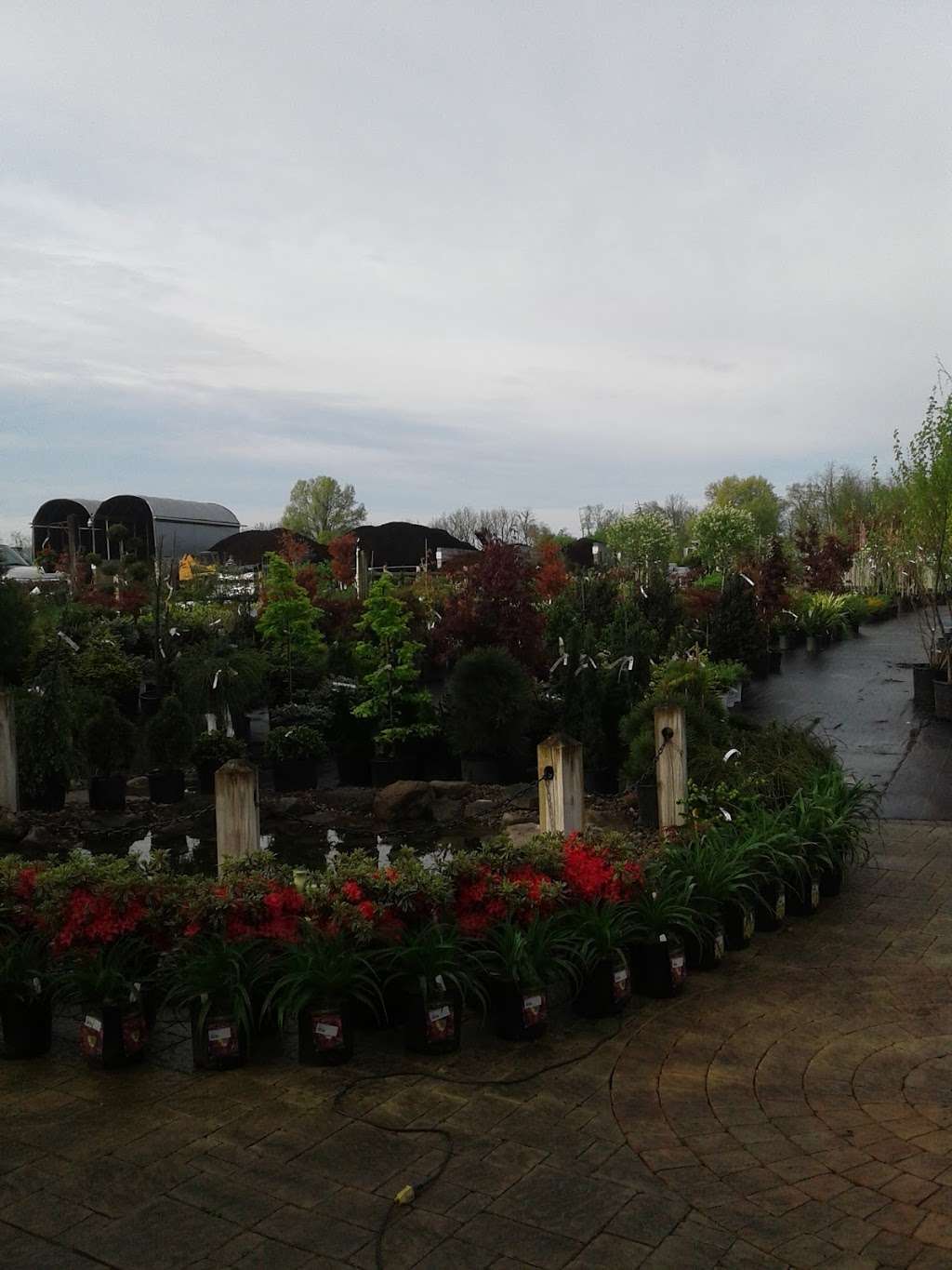 Valley View Nursery | 180 Fire House Rd, Shippensburg, PA 17257, USA | Phone: (717) 530-0159