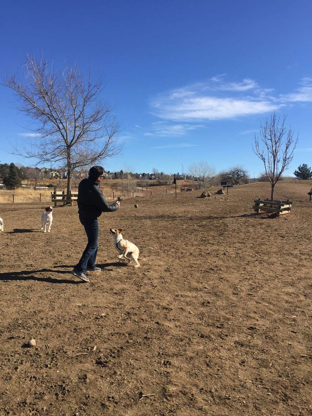 Hound Hill Dog Park | 9651 S Quebec St, Highlands Ranch, CO 80130, USA | Phone: (303) 791-2710