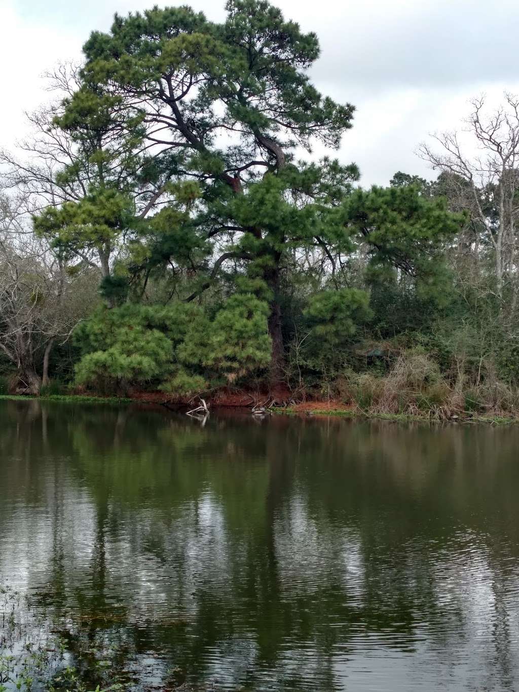 Spring Trails Preserve | Claytons Bend, Spring, TX 77386 | Phone: (936) 539-7817