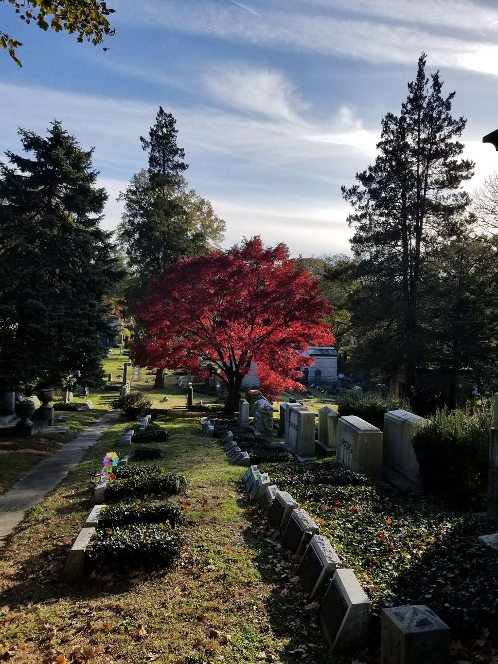 Machpelah Cemetery | 8230 Cypress Hills St, Ridgewood, NY 11385, USA | Phone: (718) 366-5959