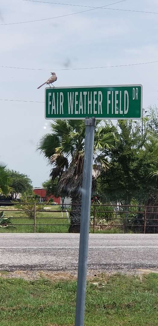 Fair Weather Field-TX42 | 11707 FM359, Brookshire, TX 77423 | Phone: (281) 702-3331