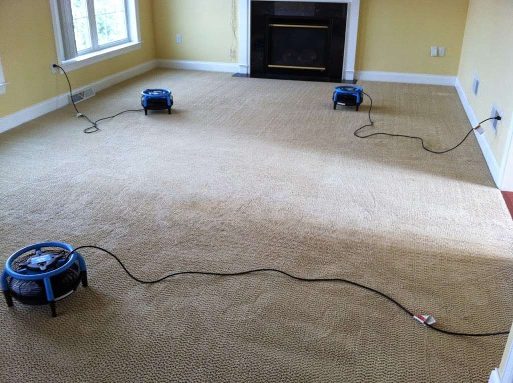 EcoTech Carpet Clean | 2633 Valley View Dr, Lancaster, PA 17601, USA | Phone: (717) 575-6925