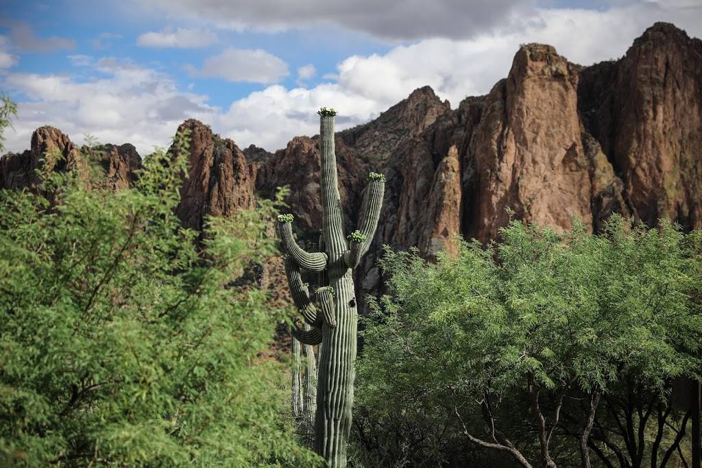 Saguaro Lake Guest Ranch | 13020 N Bush Hwy, Mesa, AZ 85215, USA | Phone: (480) 984-2194