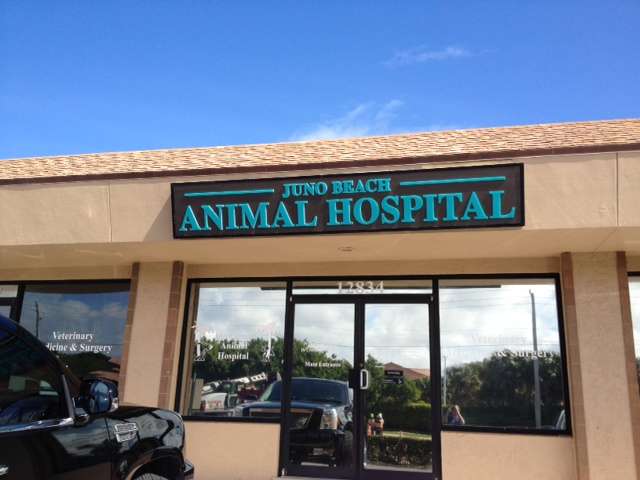 Juno Beach Animal Hospital | 12834 US-1, Juno Beach, FL 33408, USA | Phone: (561) 626-8000