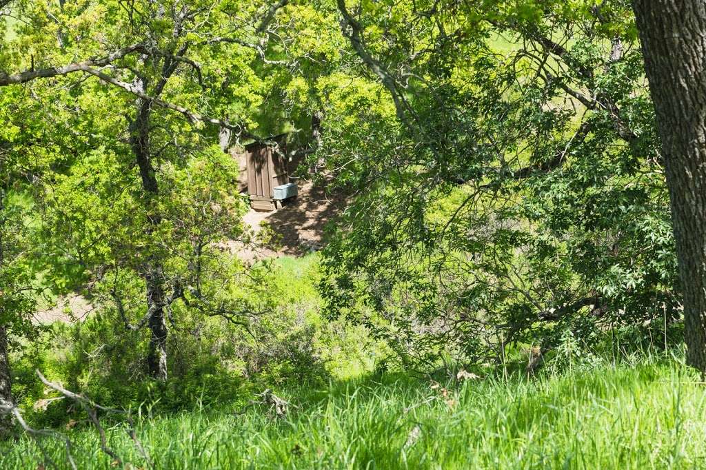 Sycamore Camp | Ohlone Wilderness Trail, Sunol, CA 94586, USA