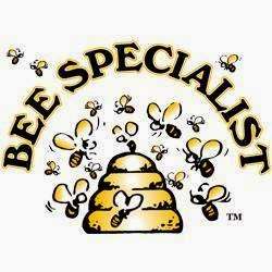Bee Removal Specialist | 3300 Foothill Blvd, Glendale, CA 91214, USA | Phone: (818) 957-1799