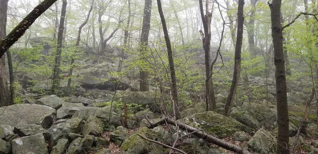 Appalachian Trail - Wolf Rocks | Valley View Dr, Bangor, PA 18013, USA