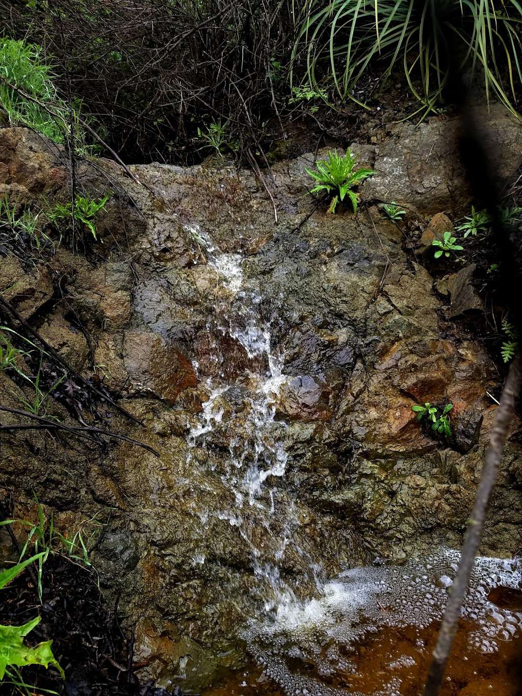 Backbone Trail - Encinal Canyon Trailhead | Encinal Canyon Rd, Malibu, CA 90265, USA | Phone: (805) 370-2301