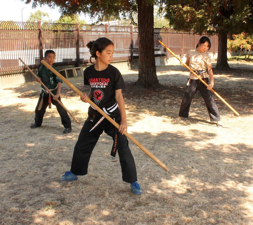 Karatedo Shinyokai | 7512 Fairmount Ave, El Cerrito, CA 94530 | Phone: (510) 575-9253