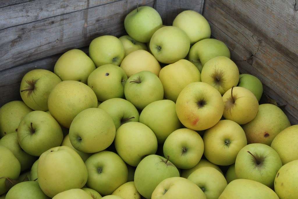 Fairview Groceries | 96 Paradise Ln, Ronks, PA 17572, USA | Phone: (717) 687-8111