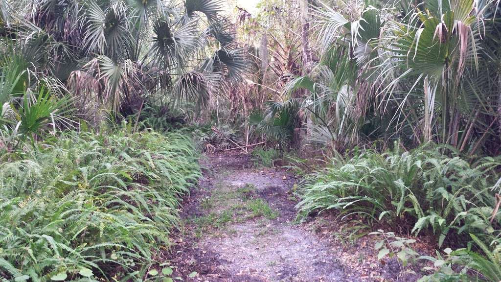 Lake Jesup Conservation Area East Tract Trailhead | 3205 Elm St, Oviedo, FL 32765