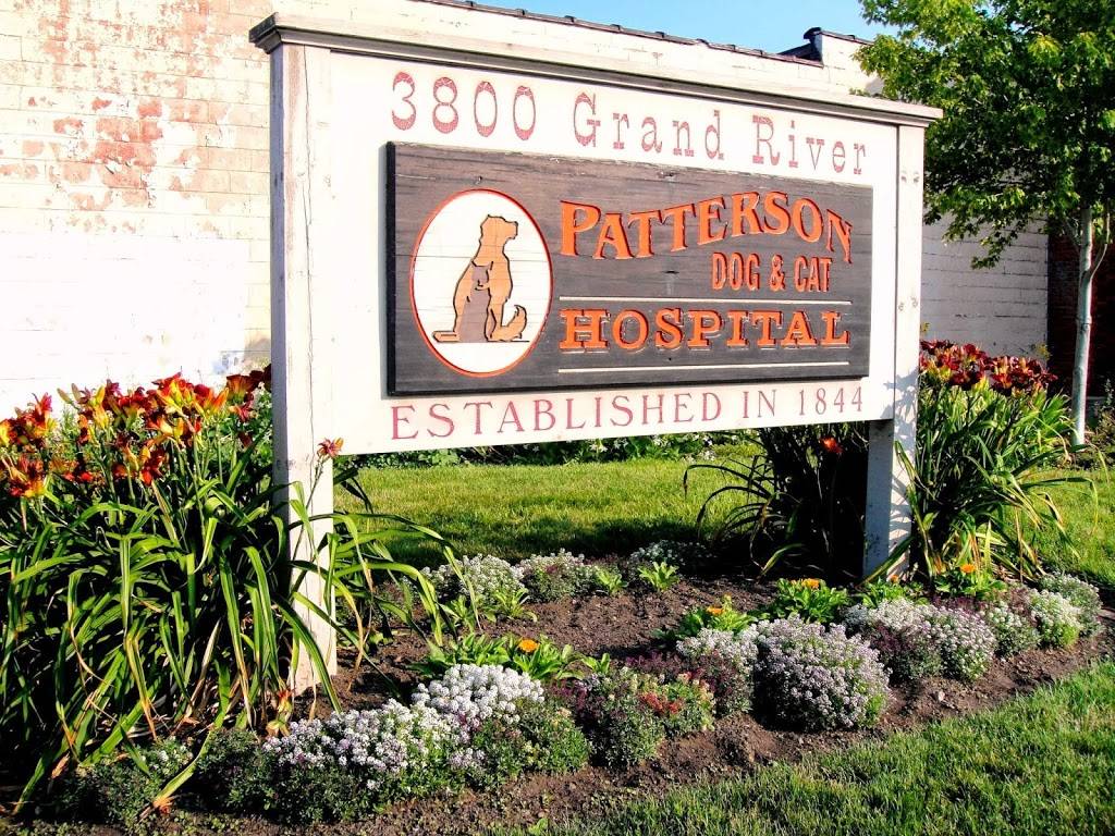 Patterson Dog and Cat Hospital | 3800 Grand River Ave, Detroit, MI 48208, USA | Phone: (313) 832-7282