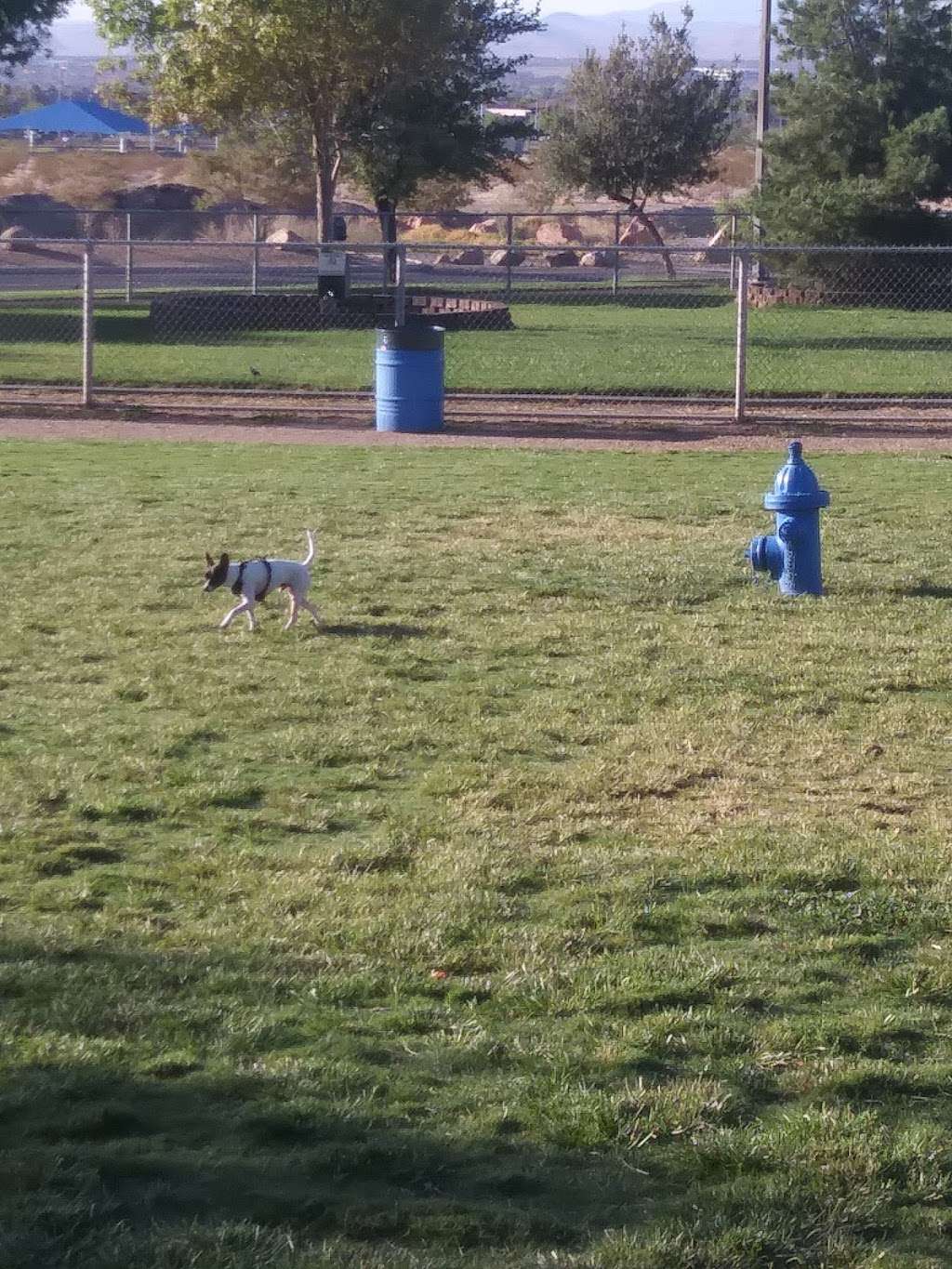 Clark County Dog Park - Desert Breeze Park | 8275 Spring Mountain Rd, Las Vegas, NV 89147, USA | Phone: (702) 455-8200