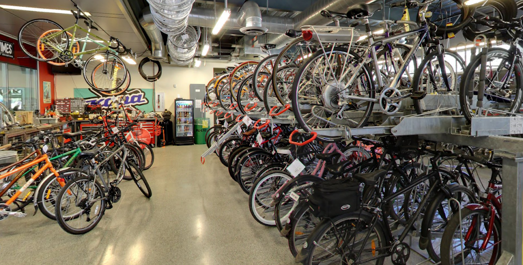 The Bicycle Cellar | 200 E 5th St #105, Tempe, AZ 85281, USA | Phone: (480) 219-7225