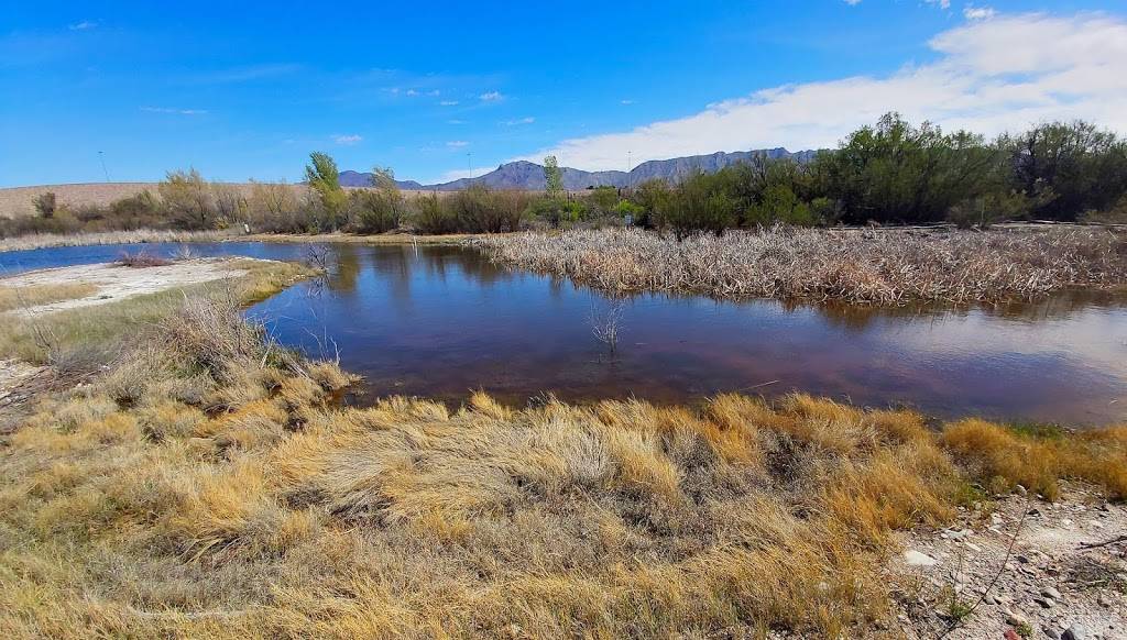 Kevin von Finger Wetlands | 4240 Doniphan Dr, El Paso, TX 79922, USA | Phone: (915) 487-7657