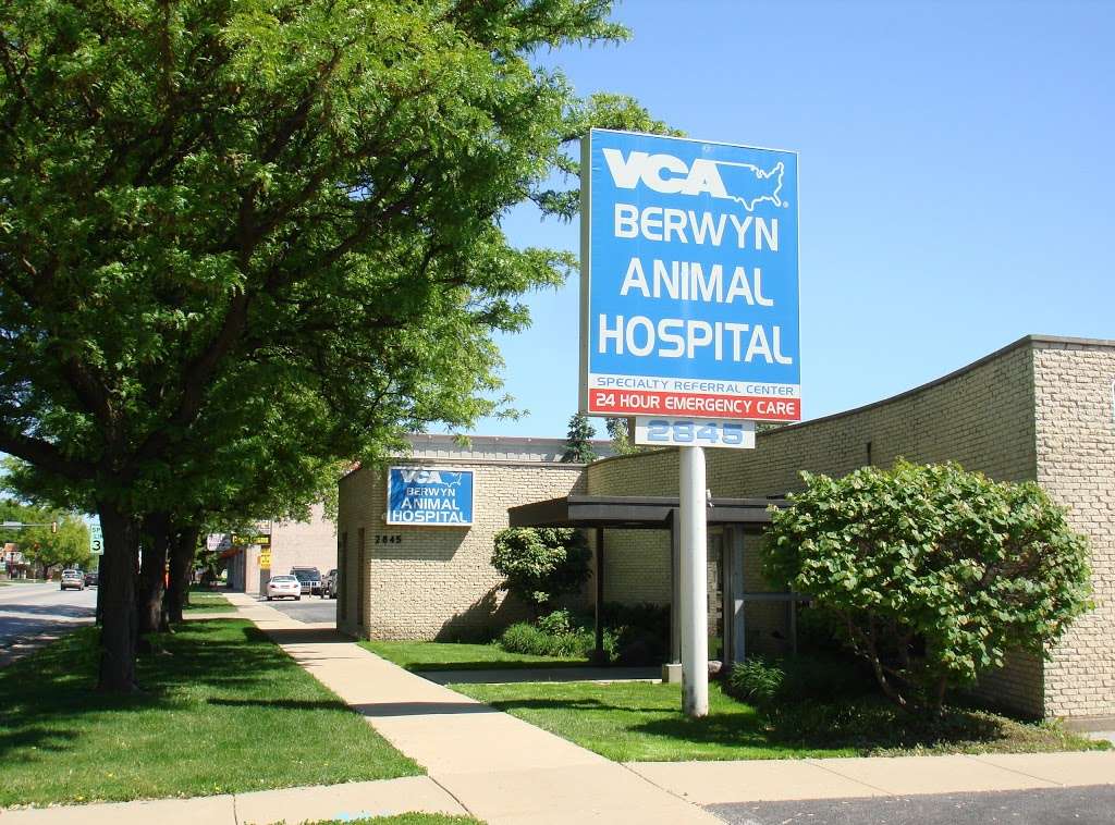 VCA Berwyn Animal Hospital | 2845 S Harlem Ave, Berwyn, IL 60402 | Phone: (708) 749-4200
