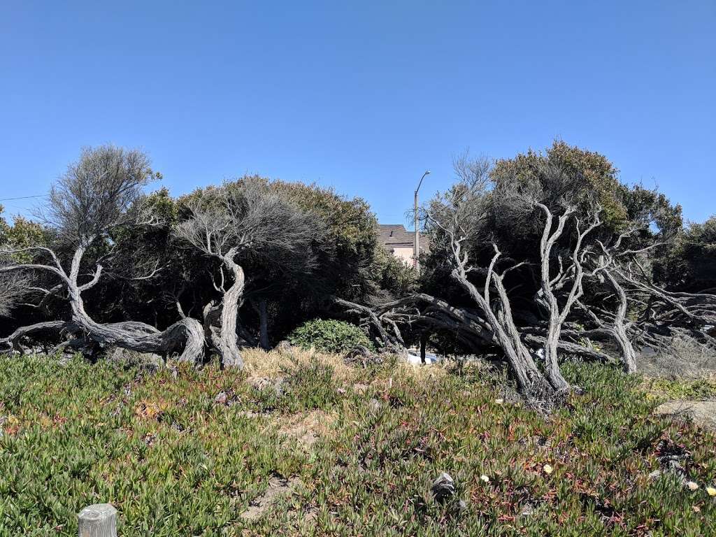 Lower Great Highway Trail | San Francisco, CA 94122, USA